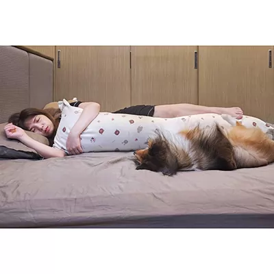 greysa格蕾莎成人側睡抱枕熟睡安穩睡眠的最佳夥伴