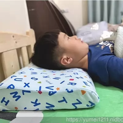 greysa格蕾莎幼兒生長曲線記憶枕90cm以上學齡前兒童適用的枕頭