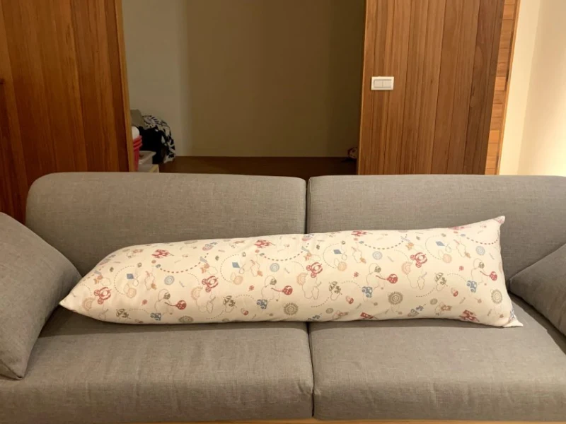 【推薦】GreySa格蕾莎—成人側睡抱枕，側睡族福音，健康的睡姿讓人神清氣爽迎接每一天！