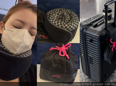 【推薦】【旅行好物推薦】GreySa格蕾莎全家福旅行頸枕 ✈ 實測分享